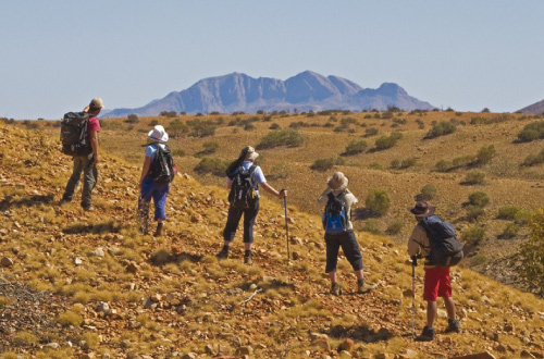 trek-larapinta-trail-challenger-larapinta-trekking-alice-springs-australia-walkers