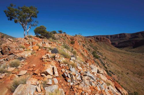 ormiston-pound-larapinta-trail