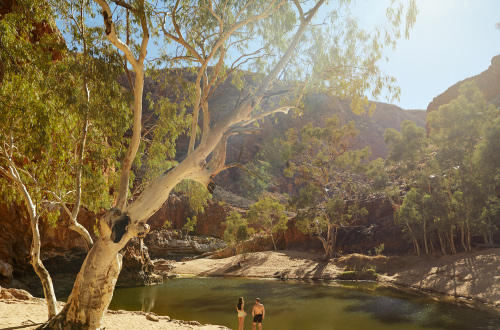 Larapinta-trail-guided-walk-trek-larapinta-Trekkers