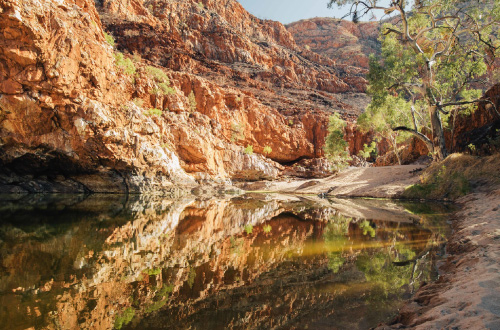 larapinta-trail-guided-walk-trek-larapinta