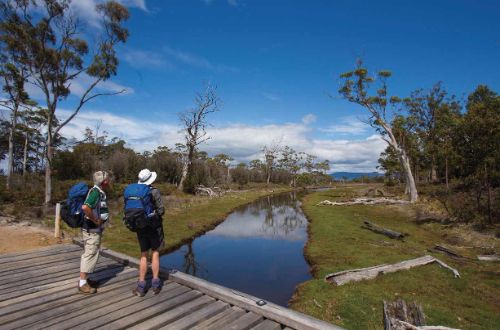 Maria-island-walk-inland