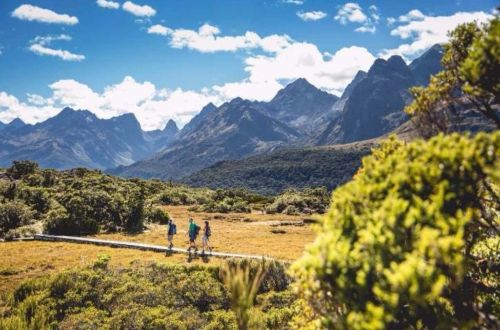 new-zealand-walk-routeburn-track