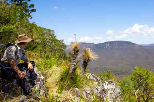 SCENIC-RIM-TRAIL-WALK-queensland