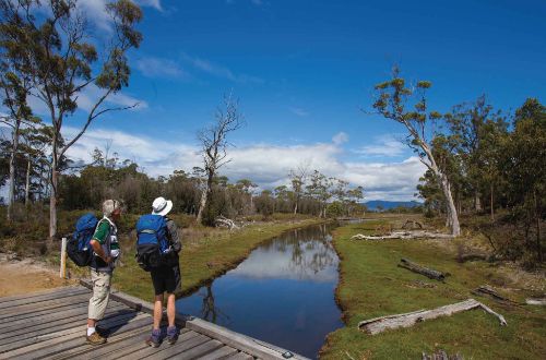 maria-island-walk-tasmania