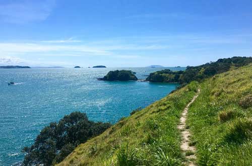 waiheke-walking-tour