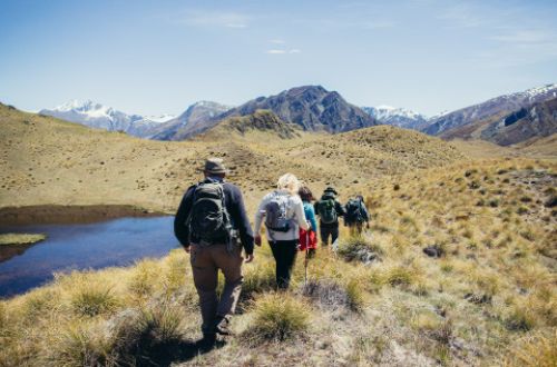 mahu-whenua-wanaka-hike-500x330d2