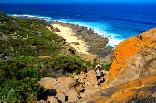 Cape-to-Cape-Track-Near-The-Wilyabrup-Cliffs