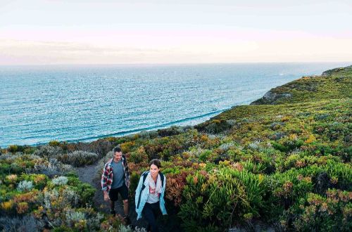 cape-to-cape-track-walking-luxury