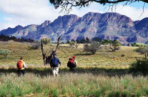 heysen-trail-flinders-ranges-trekking-south-australia-Black-Gap-walkers