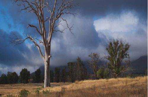 heysen-trail-flinders-ranges-trekking-south-australia-Wilpena-Pound