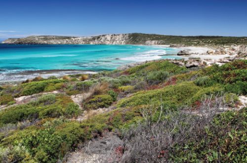 Kangaroo-Island-Wilderness-Trail-Walk-Beach