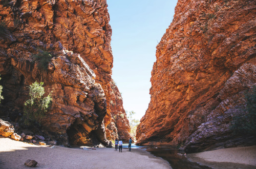 The-Ghan-Simpsons-Gap-Alice-Springs