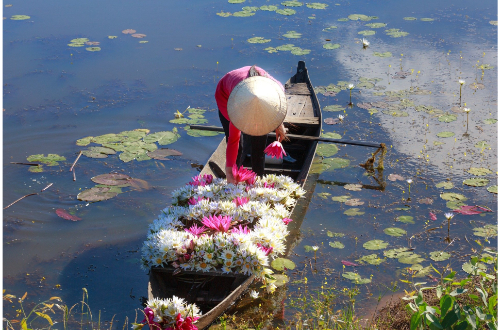 luxury-cycling-ho-chi-minh-hue-flower-fields-river-province-local-vietnam